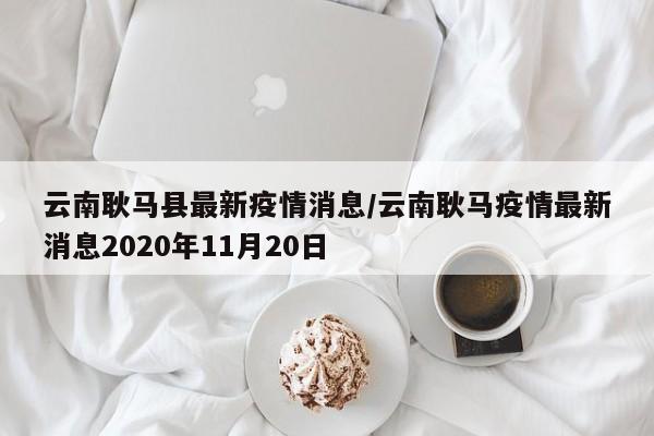 云南耿马县最新疫情消息/云南耿马疫情最新消息2020年11月20日