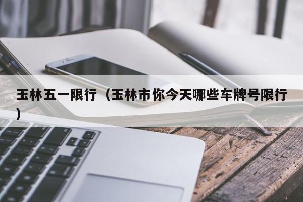玉林五一限行（玉林市你今天哪些车牌号限行）