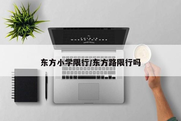 东方小学限行/东方路限行吗