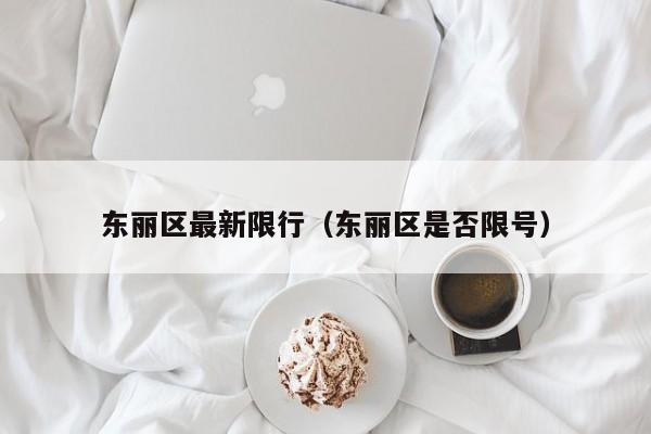 东丽区最新限行（东丽区是否限号）