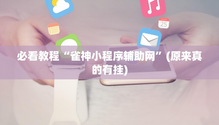 必看教程“雀神小程序辅助网”(原来真的有挂)