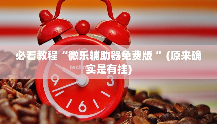 必看教程“微乐辅助器免费版 ”(原来确实是有挂)