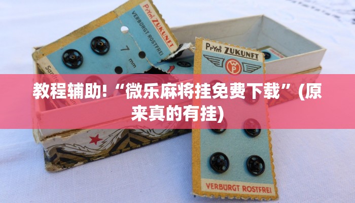 教程辅助!“微乐麻将挂免费下载”(原来真的有挂)