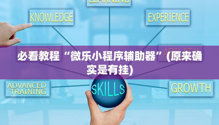 必看教程“微乐小程序辅助器”(原来确实是有挂)