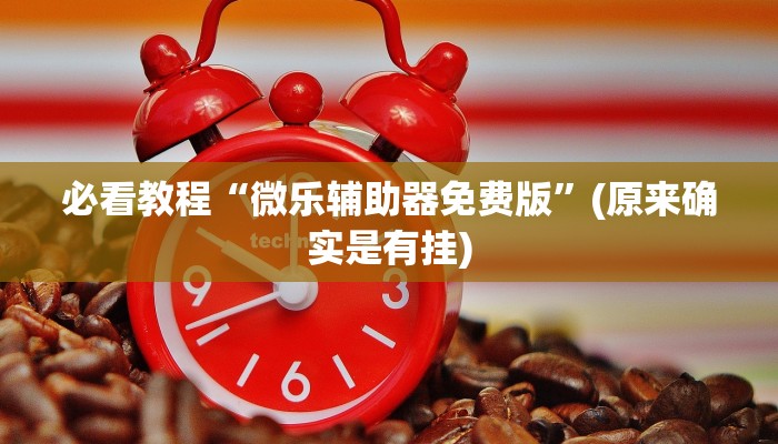 必看教程“微乐辅助器免费版”(原来确实是有挂)