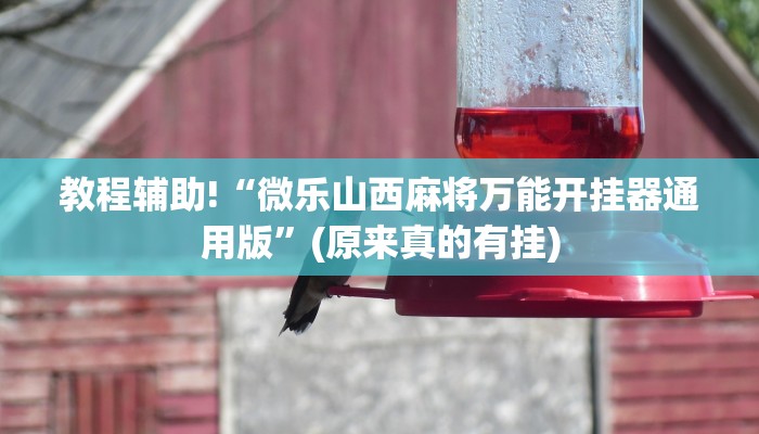 教程辅助!“微乐山西麻将万能开挂器通用版”(原来真的有挂)