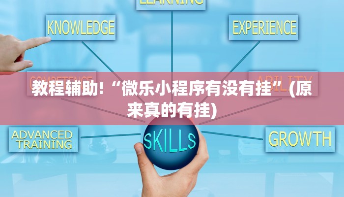 教程辅助!“微乐小程序有没有挂”(原来真的有挂)