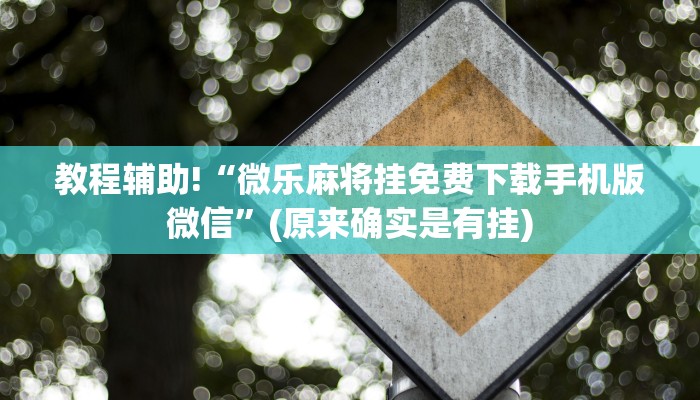 教程辅助!“微乐麻将挂免费下载手机版微信”(原来确实是有挂)