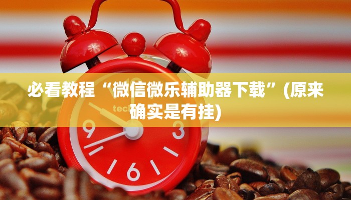 必看教程“微信微乐辅助器下载”(原来确实是有挂)