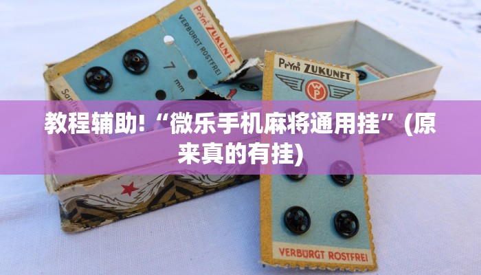 今日实测“微乐四川麻将免费挂下载”(原来确实是有挂)