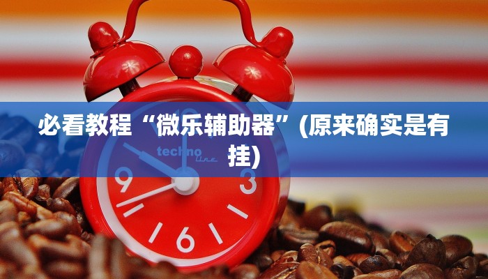 必看教程“微乐辅助器”(原来确实是有挂)