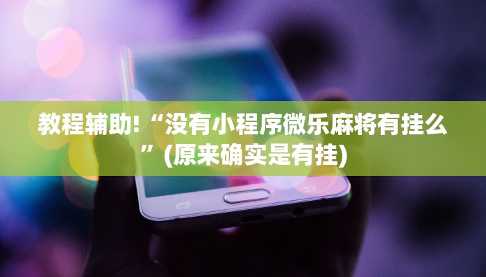 教程辅助!“没有小程序微乐麻将有挂么”(原来确实是有挂)