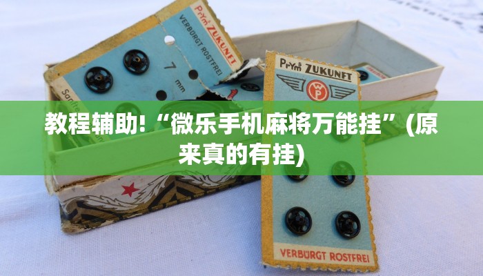 教程辅助!“微乐手机麻将万能挂”(原来真的有挂)