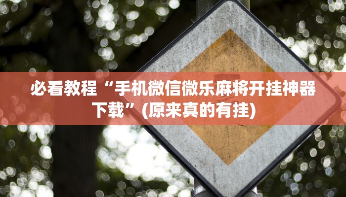 教程辅助!“微乐免费房间开挂下载”(原来确实是有挂)