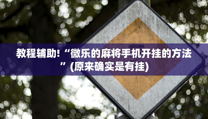 教程辅助!“微乐的麻将手机开挂的方法”(原来确实是有挂)