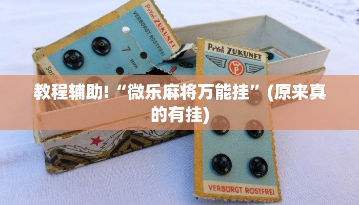 教程辅助!“微乐麻将万能挂”(原来真的有挂)