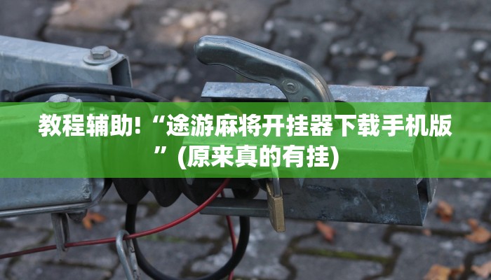 教程辅助!“途游麻将开挂器下载手机版”(原来真的有挂)