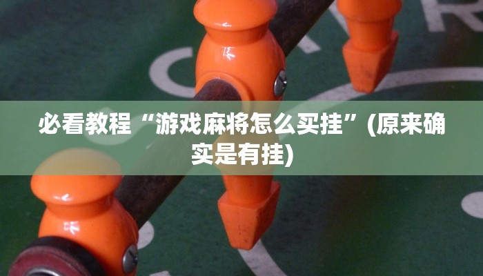 必看教程“游戏麻将怎么买挂”(原来确实是有挂)