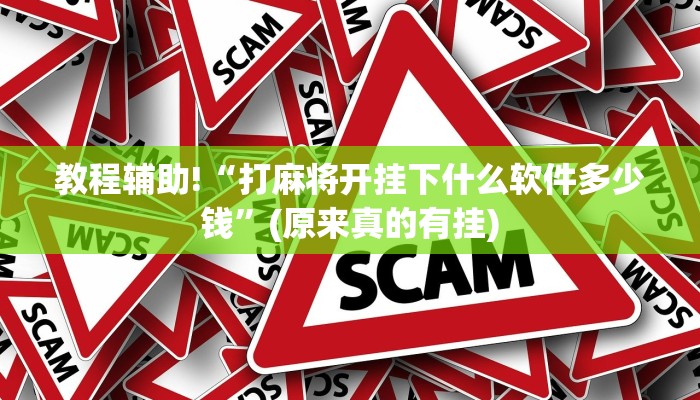 教程辅助!“打麻将开挂下什么软件多少钱”(原来真的有挂)