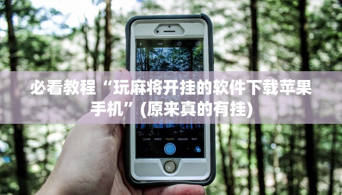 今日实测“微乐河北麻将怎么赢”(原来确实是有挂)