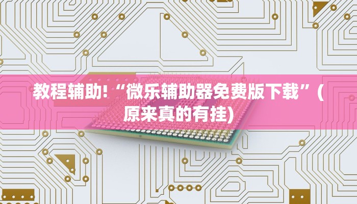 教程辅助!“微乐辅助器免费版下载”(原来真的有挂)