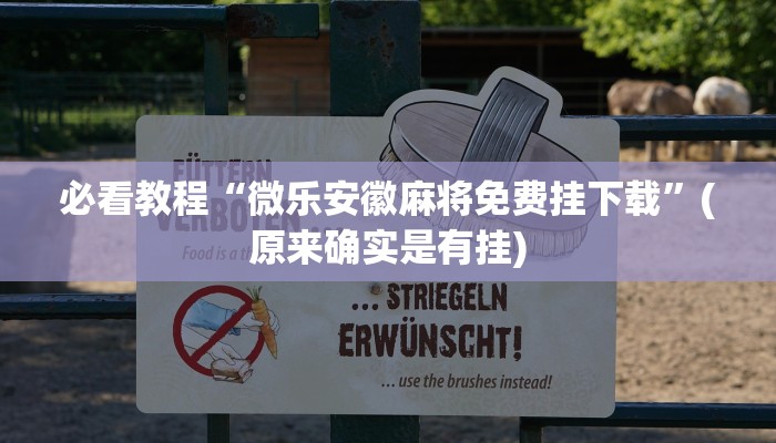 必看教程“微乐万能开挂器通用版”(原来确实是有挂)