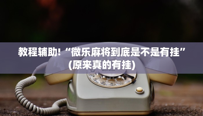 教程辅助!“微乐麻将到底是不是有挂”(原来真的有挂)