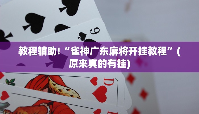 教程辅助!“雀神广东麻将开挂教程”(原来真的有挂)