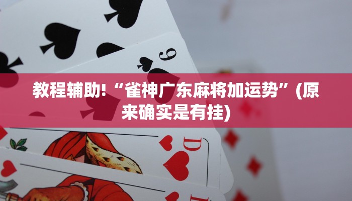 教程辅助!“雀神广东麻将加运势”(原来确实是有挂)