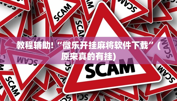 必看教程“微乐家乡麻将挂软件”(原来确实是有挂)