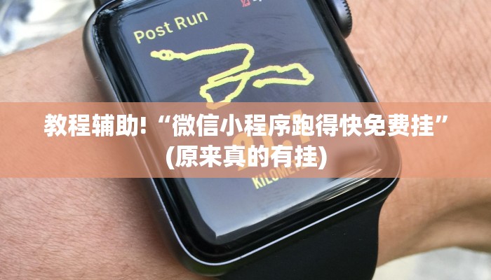 教程辅助!“微信小程序跑得快免费挂”(原来真的有挂)