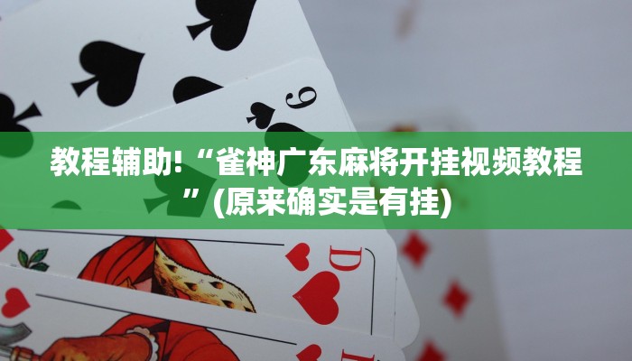 教程辅助!“雀神广东麻将开挂视频教程”(原来确实是有挂)