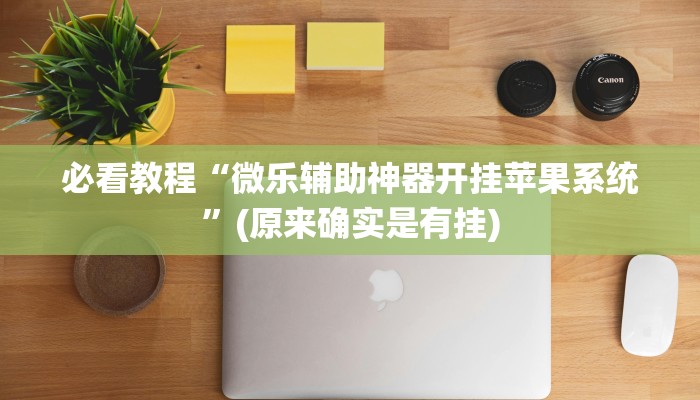 必看教程“微乐辅助神器开挂苹果系统”(原来确实是有挂)