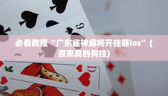 必看教程“广东雀神麻将开挂器ios”(原来真的有挂)