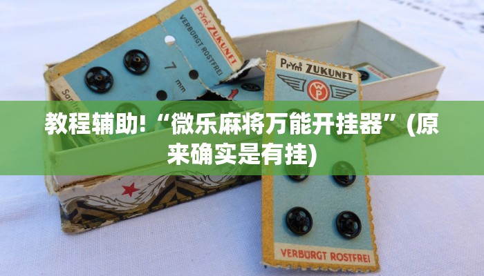 教程辅助!“微乐麻将万能开挂器”(原来确实是有挂)