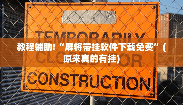 教程辅助!“麻将带挂软件下载免费”(原来真的有挂)