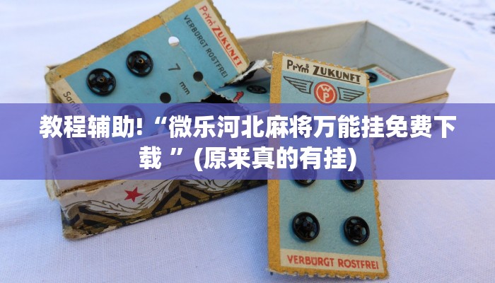 教程辅助!“微乐河北麻将万能挂免费下载 ”(原来真的有挂)
