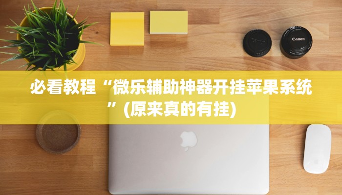 必看教程“微乐辅助神器开挂苹果系统”(原来真的有挂)