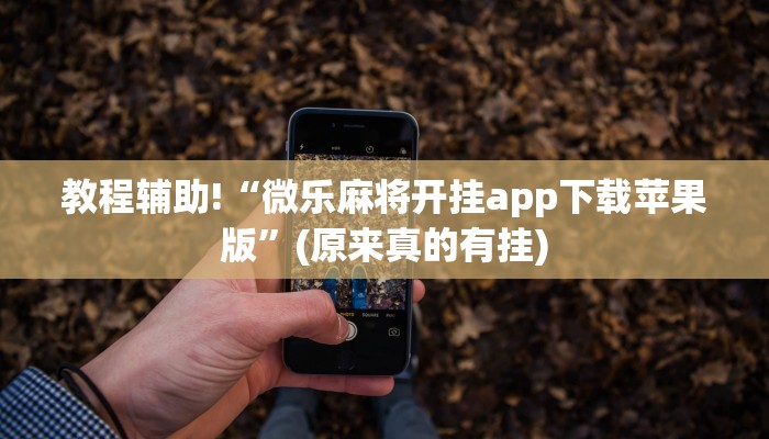 教程辅助!“微乐麻将开挂app下载苹果版”(原来真的有挂)