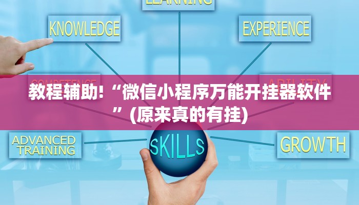 教程辅助!“微信小程序万能开挂器软件”(原来真的有挂)