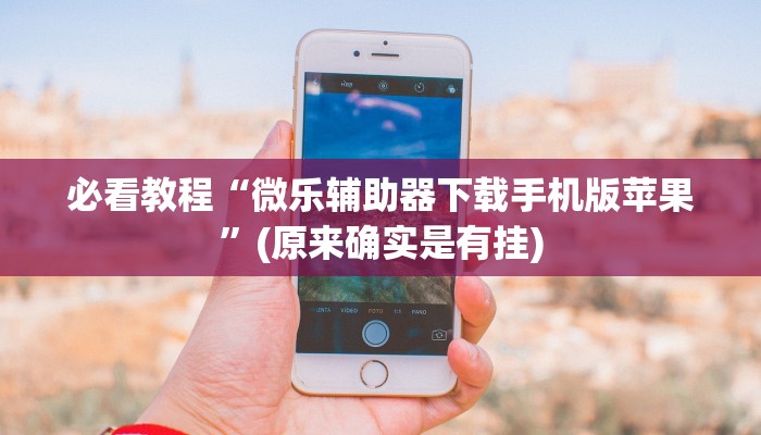 必看教程“微乐辅助器下载手机版苹果”(原来确实是有挂)