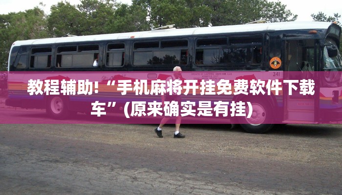 教程辅助!“手机麻将开挂免费软件下载车”(原来确实是有挂)