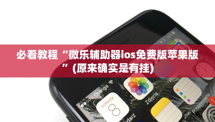 必看教程“微乐辅助器ios免费版苹果版”(原来确实是有挂)