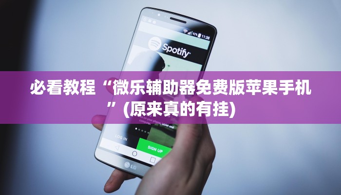 必看教程“微乐辅助器免费版苹果手机”(原来真的有挂)