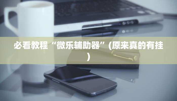 必看教程“微乐辅助器”(原来真的有挂)