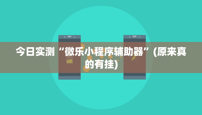 今日实测“微乐小程序辅助器”(原来真的有挂)