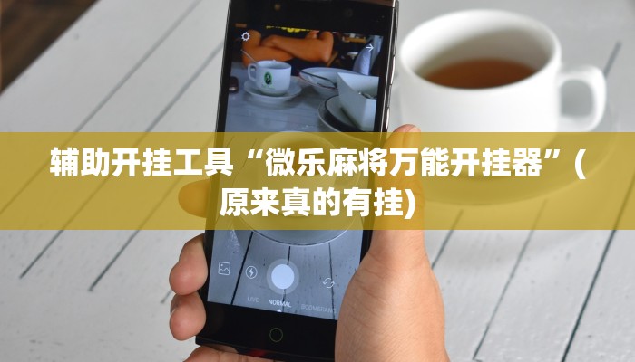 辅助开挂工具“微乐麻将万能开挂器”(原来真的有挂)