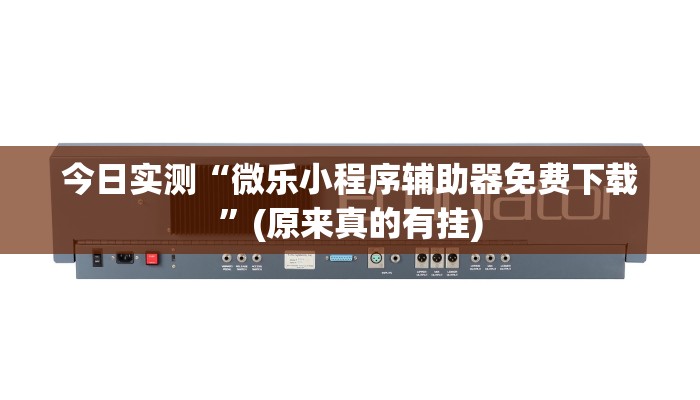 今日实测“微乐小程序辅助器免费下载”(原来真的有挂)