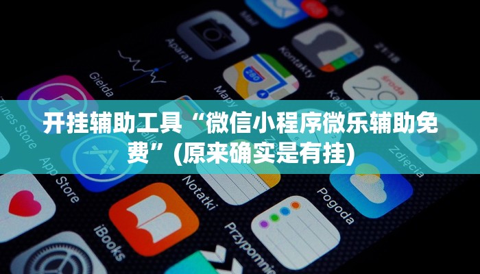 开挂辅助工具“微信小程序微乐辅助免费”(原来确实是有挂)
