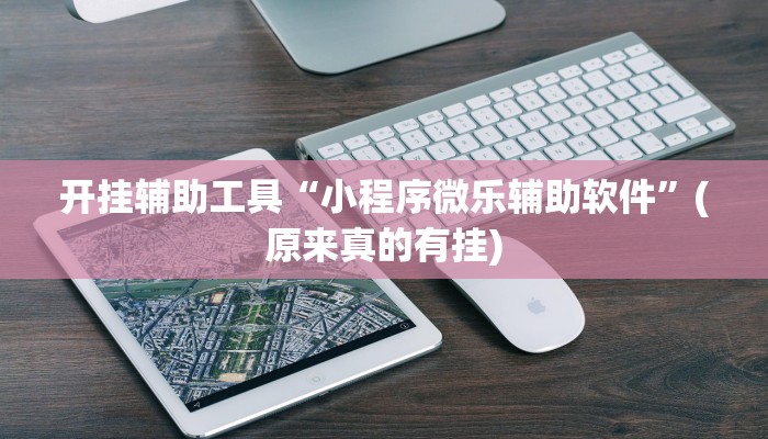 开挂辅助工具“小程序微乐辅助软件”(原来真的有挂)